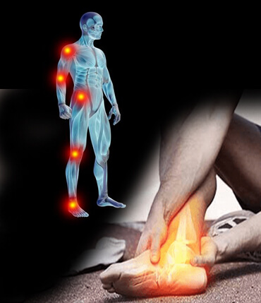 Musculoskeletal Health Musculoskeletal Health
